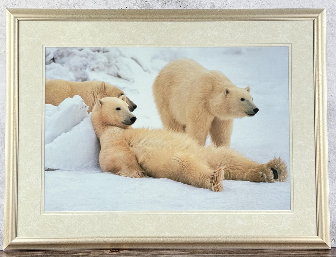 Thomas D. Mangelsen Bad Boys of the Arctic (1 of 4)