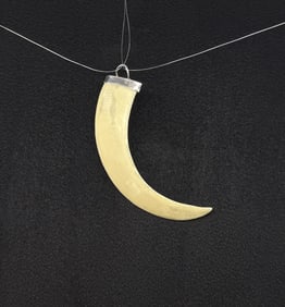 Sterling South Pacific Boar Tooth Pendant