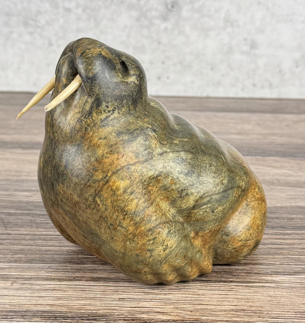 Sharon Spencer Inuit Soapstone Walrus Carving (1 of 7)