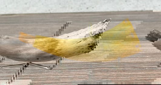 Antique Frontier Powder Horn