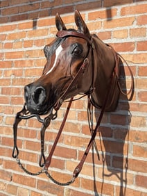 South Dakota Centennial Horse Bit & Headstall