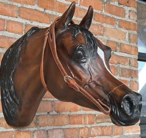 Toga Brand Leather Brow Band Headstall