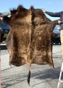 Taxidermy Montana Buffalo Hide Robe Rug