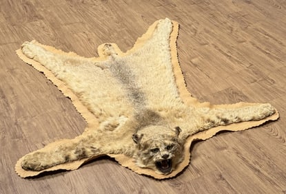 Montana Taxidermy Bobcat Rug