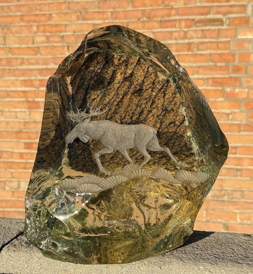 Flygsfors Glassworks Art Glass Moose: 11 3/4" tall, 10 5/8" wide, 8 3/4" deep.