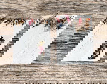 Group of Montana Trout Fishing Flies