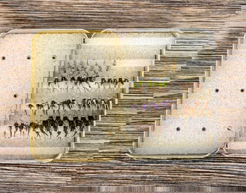 Group of Montana Trout Fishing Flies