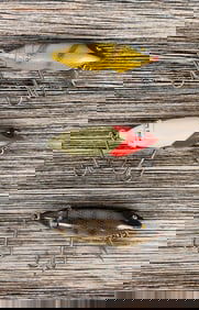 South Bend Fish O Bite Fishing Lures