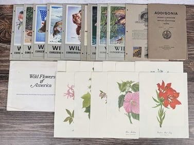 Collection of Stamps and Flower Illustrations