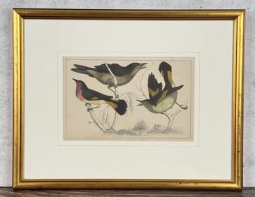 Oliver Goldsmith Gnat Catchers Lithograph
