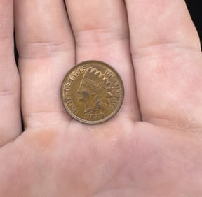 1899 P Indian Head Cent Penny