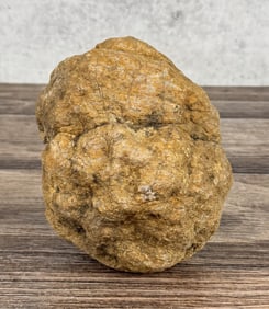 Unopened Quartz Geode