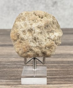 Unopened Quartz Geode