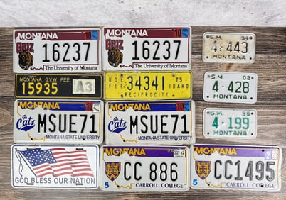 Collection Of Montana License Plates