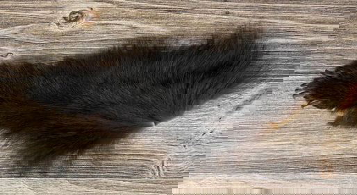 Montana Taxidermy Black Bear Hide Remnant
