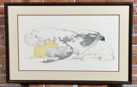 Peter Parnall Peregrine Falcon Print