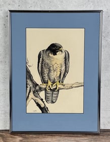 Ron Jenkins Falcon Watercolor Painting