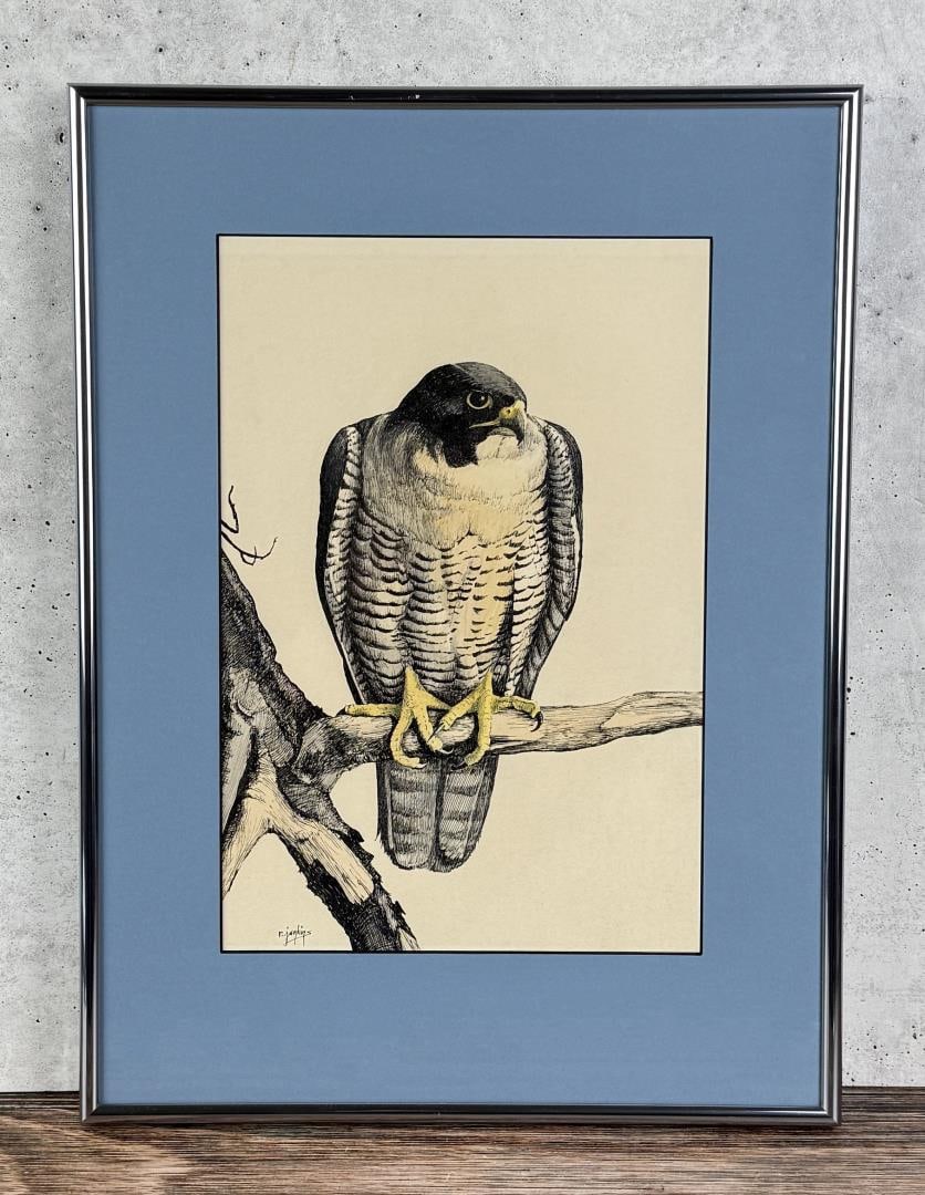 Ron Jenkins Falcon Watercolor Painting (1 of 4)