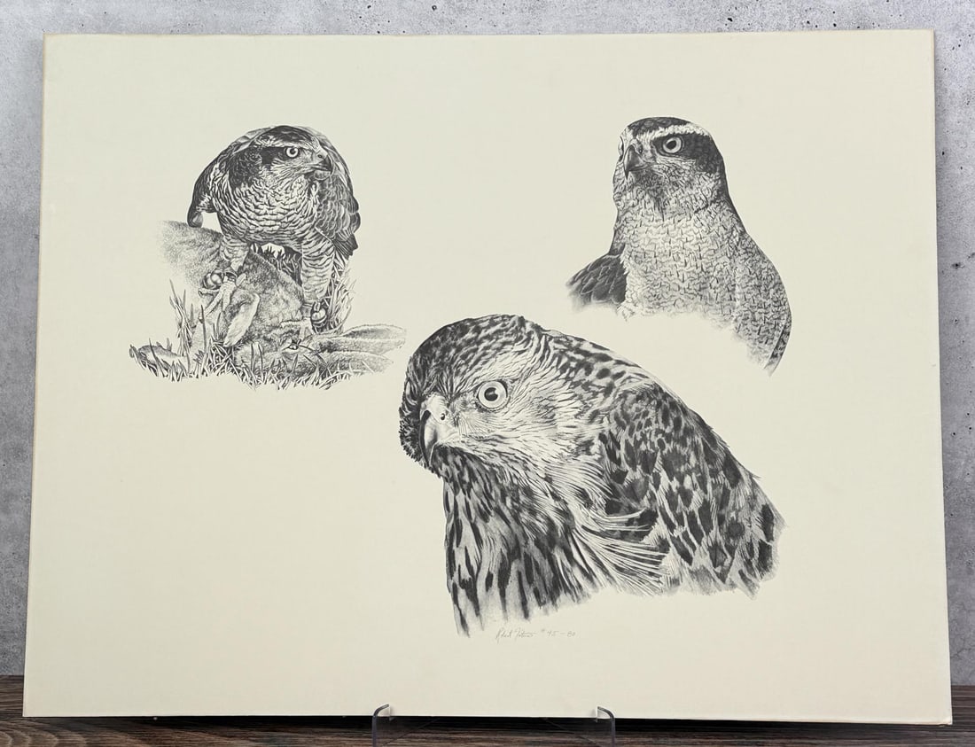 Robert Katona Falcon Print: 18" by 23 1/2" unframed.