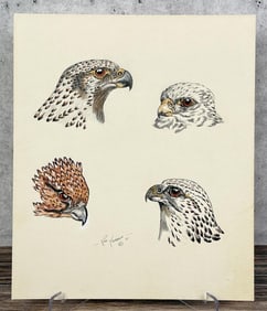 Ron Herron Montana Falcon Gouache Painting