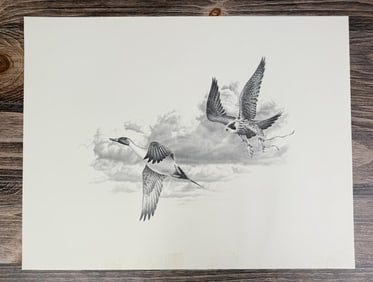 Falcon Chasing Duck Print