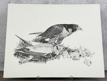 Robert Katona Falcon Print
