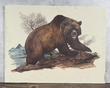 Dorman Grizzly Bear Print University of Montana