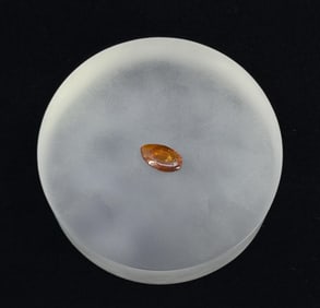 Dominican Amber Cabochon