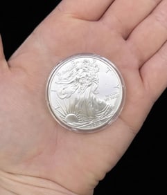 2010 Silver Eagle