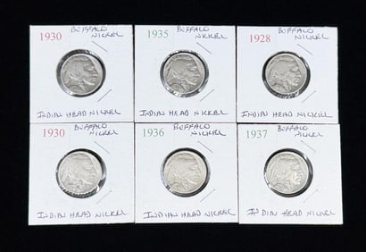 Collection of Buffalo Nickels