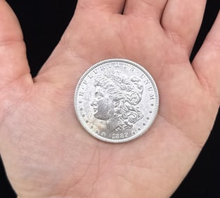 1889 P Morgan Silver Dollar