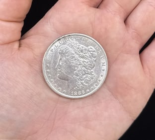 1886 P Morgan Silver Dollar