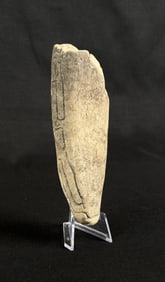 Ancient Native American Indian Pot Section