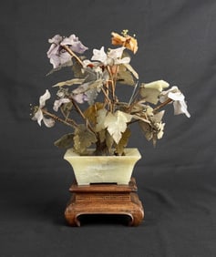 Chinese Jade Bonsai Tree