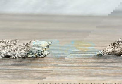 Fabian Tsethlikai Zuni Carved Frog Fetish