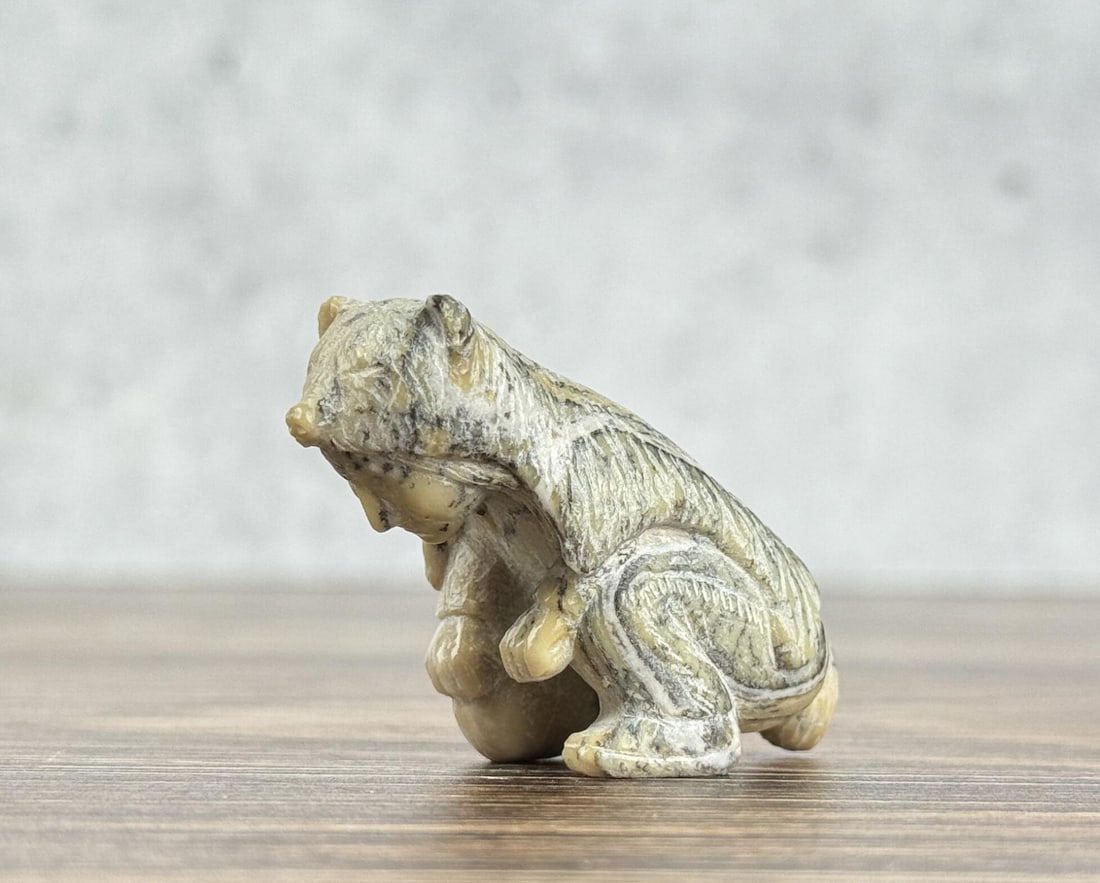 Zuni Indian With Wolf Shawl Fetish (1 of 4)