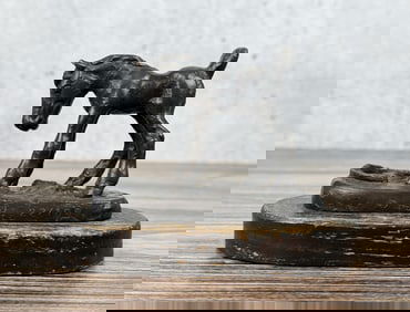 Ace Powell Montana Surprise Bronze