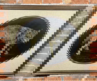 Wilma Tronstad Standing Wolf Scratchboard