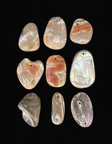 Ancient Plateau Indian Shell Trade Earrings