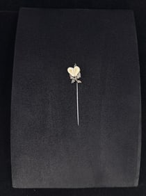 Austrian Black Forest Roe Deer Tooth Stick Pin