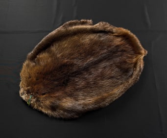 Montana Taxidermy Beaver Hide Pelt
