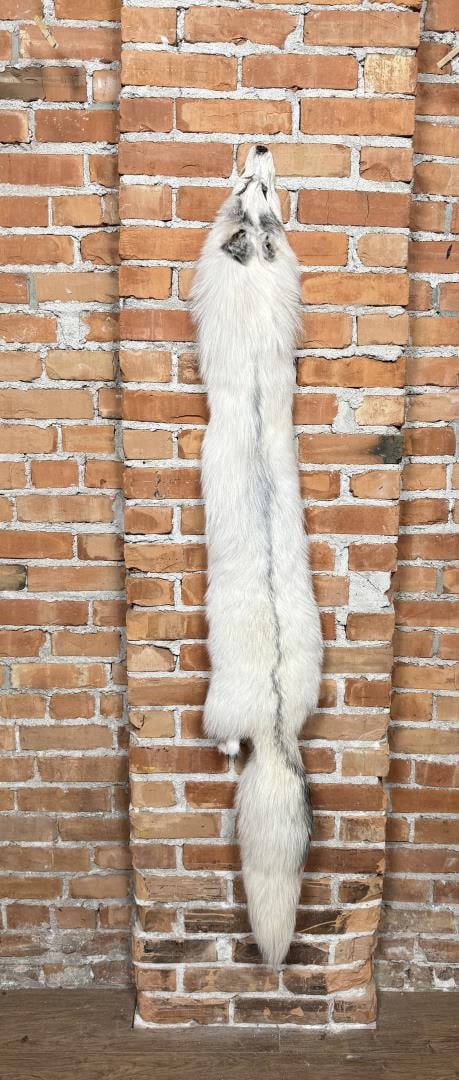Beautiful Ranch Marbled Fox Fur Pelt Taxidermy: 64" long. No paws.