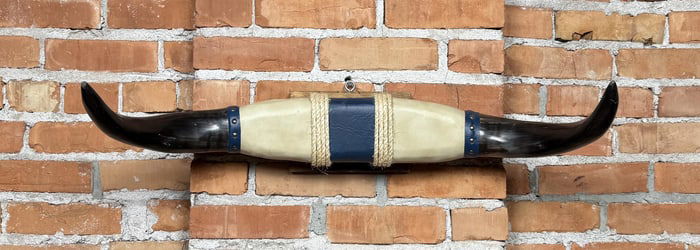 Texas Longhorn Steer Horns