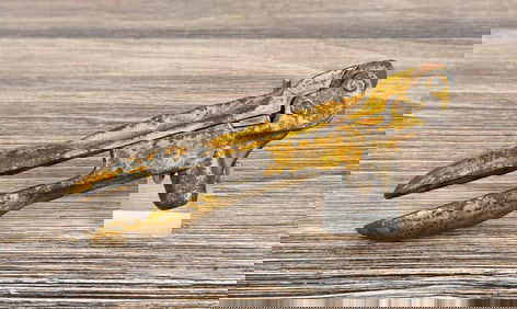 1875 Winchester Golden .44 WCF Reloading Tool