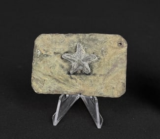 Civil War Confederate Texas Star Belt Buckle