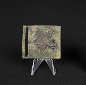 Civil War Confederate Texas Star Belt Buckle