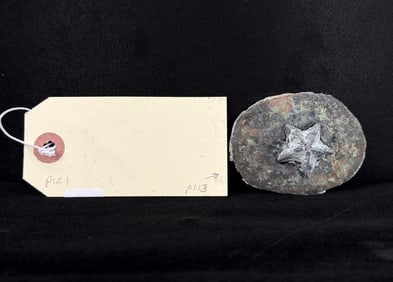 Civil War Confederate Texas Star Belt Buckle