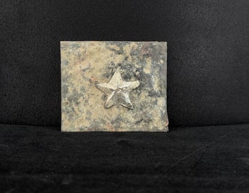 Civil War Confederate Texas Star Belt Buckle