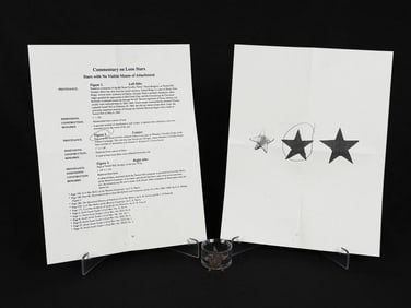 Civil War Confederate Texas Lone Star Hat Badge