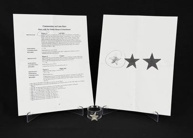 Civil War Confederate Texas Lone Star Hat Badge